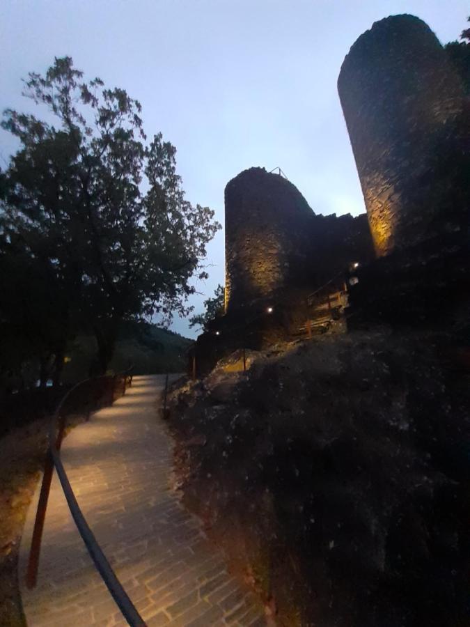 Chez Louise: onde a Serra beija o Céu Lousã Buitenkant foto